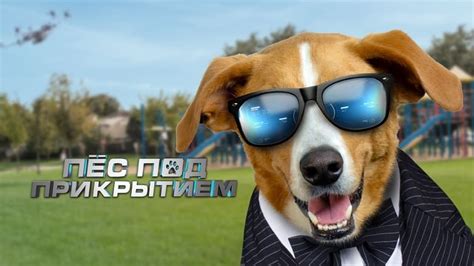 Agent Toby Barks 2025